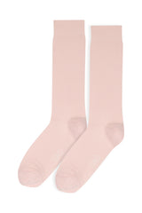 Rose pale